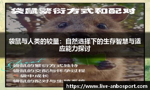 安博体育平台